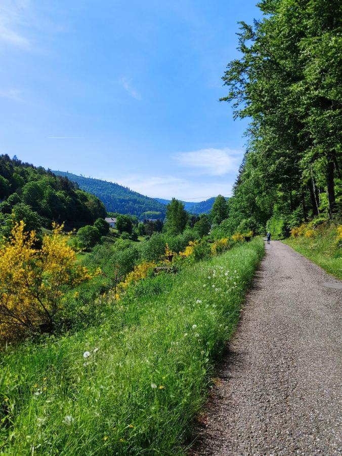 Albtaleck - Wohnen Im Kurort *