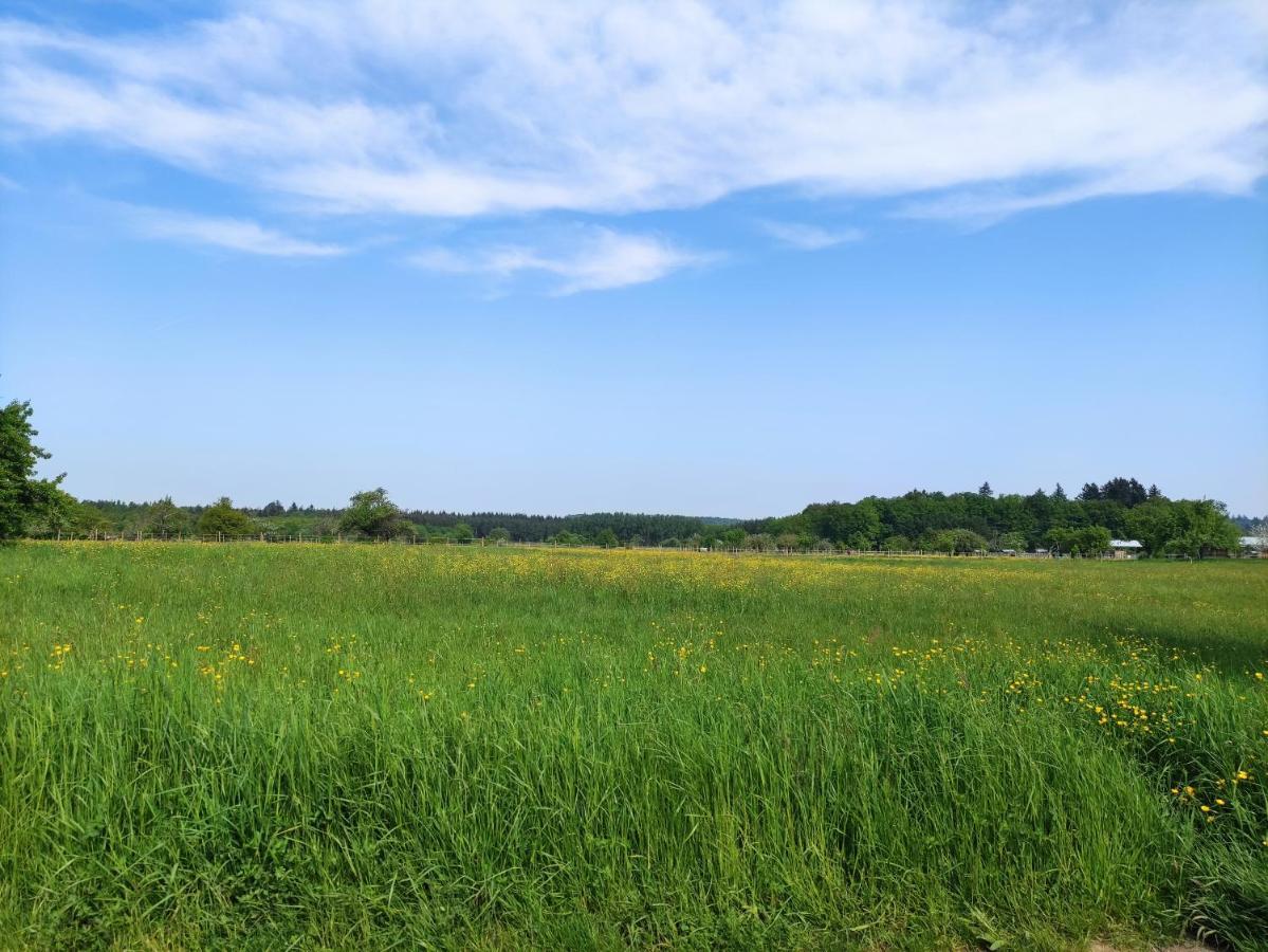 Appartement Albtaleck - Wohnen Im Kurort